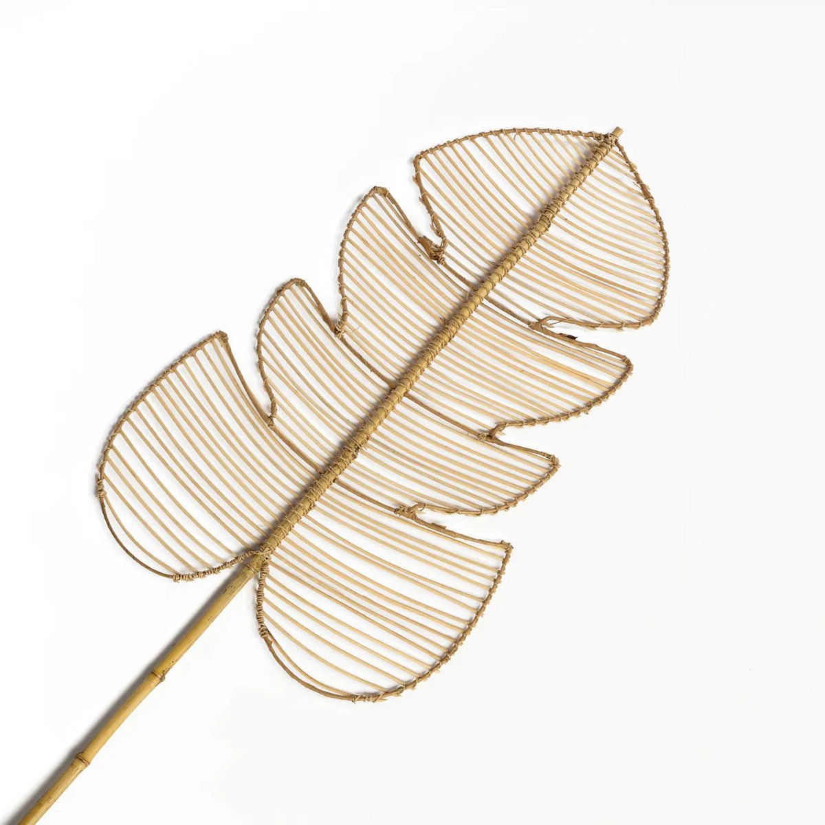 Le Monstera en Rotin - Naturel