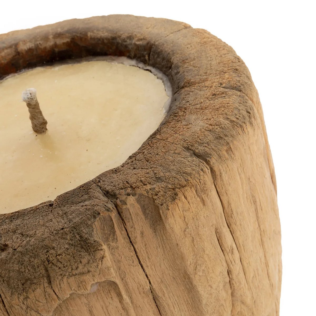 Le Tronc de Bougie - Naturel