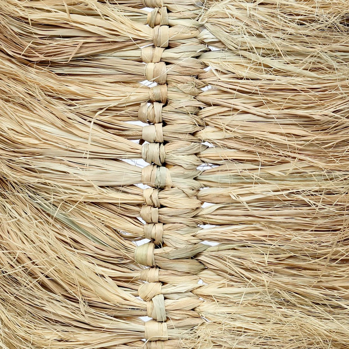 Le Raphia Palmeira - Naturel