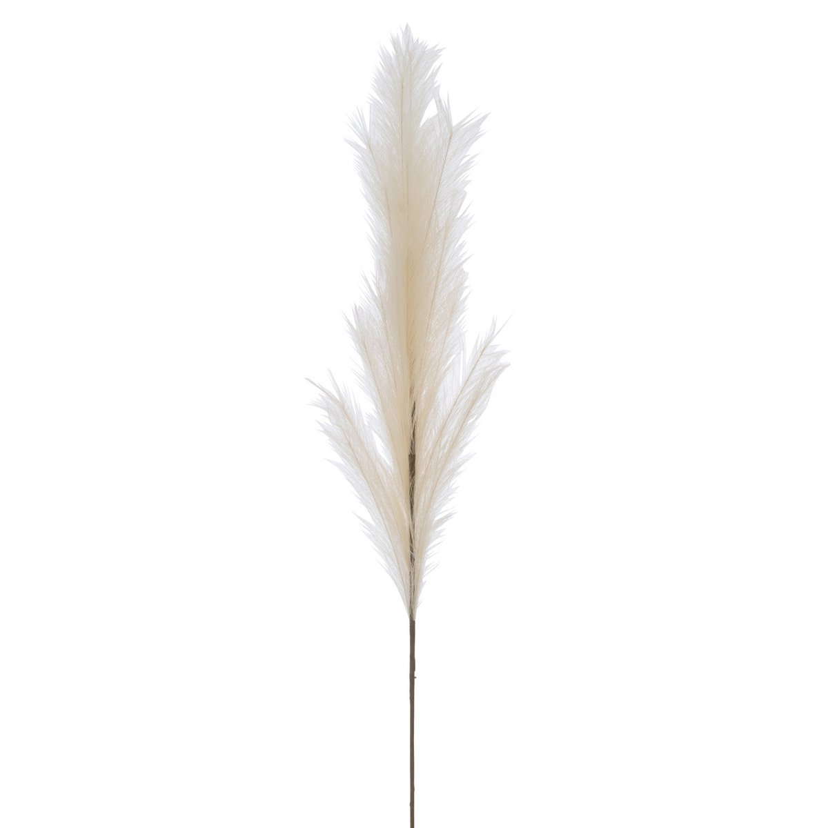 J-Line Plumeau Branche Plastique Beige Grand
