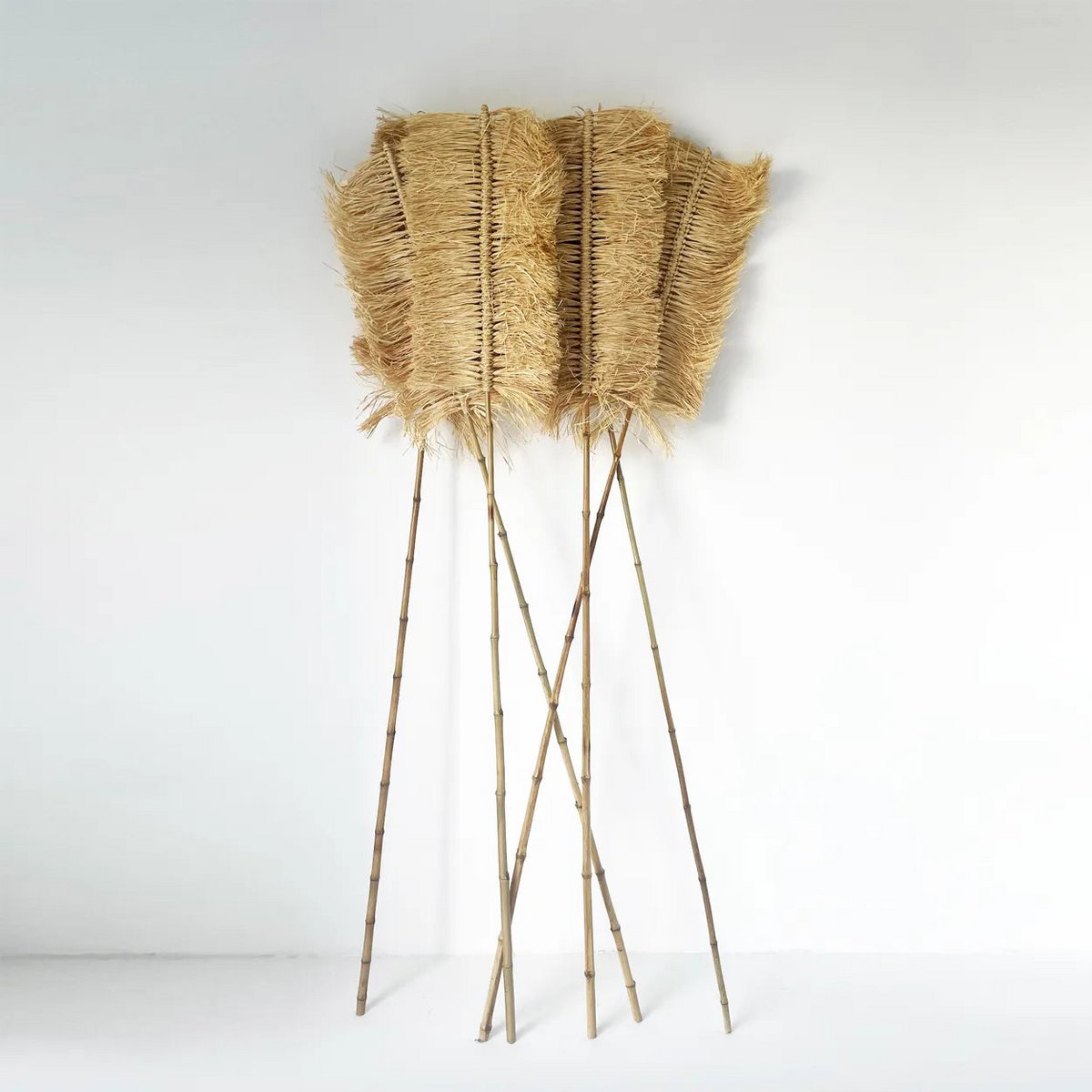 Le Raphia Palmeira - Naturel